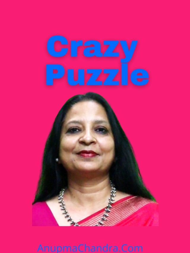 cropped-crazy-puzzle-cover-page.jpg